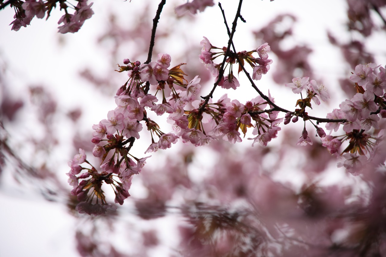 Фото © Анастасия Романова / Абзац