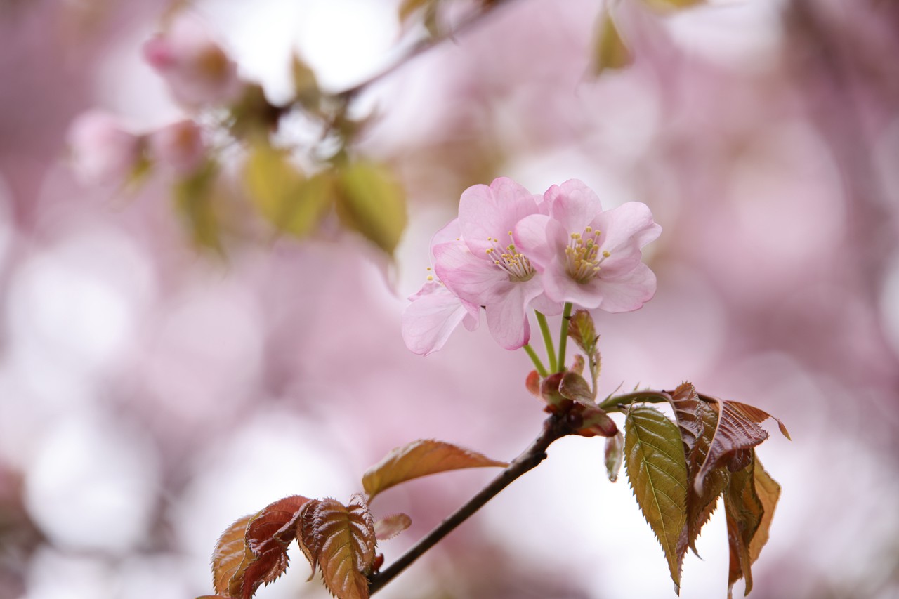 Фото © Анастасия Романова / Абзац