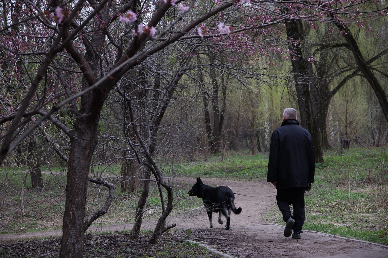 Фото © Анастасия Романова / Абзац