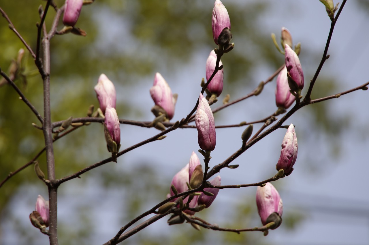 Фото © Анастасия Романова / Абзац