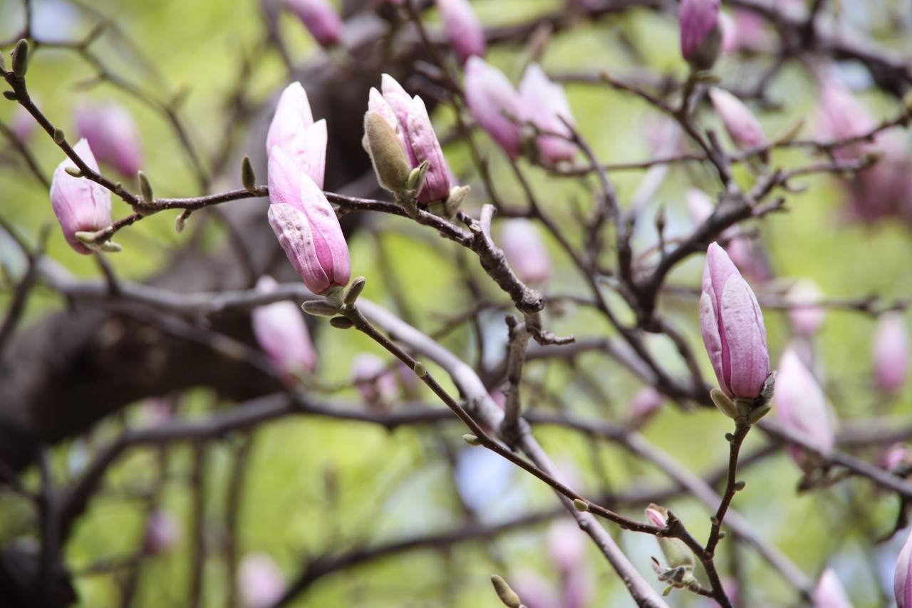 Фото © Анастасия Романова / Абзац