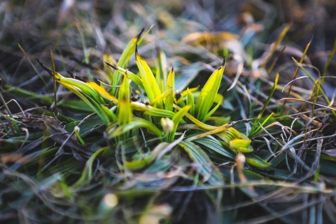 Майские приметы и народные традиции: от Егория до Николы