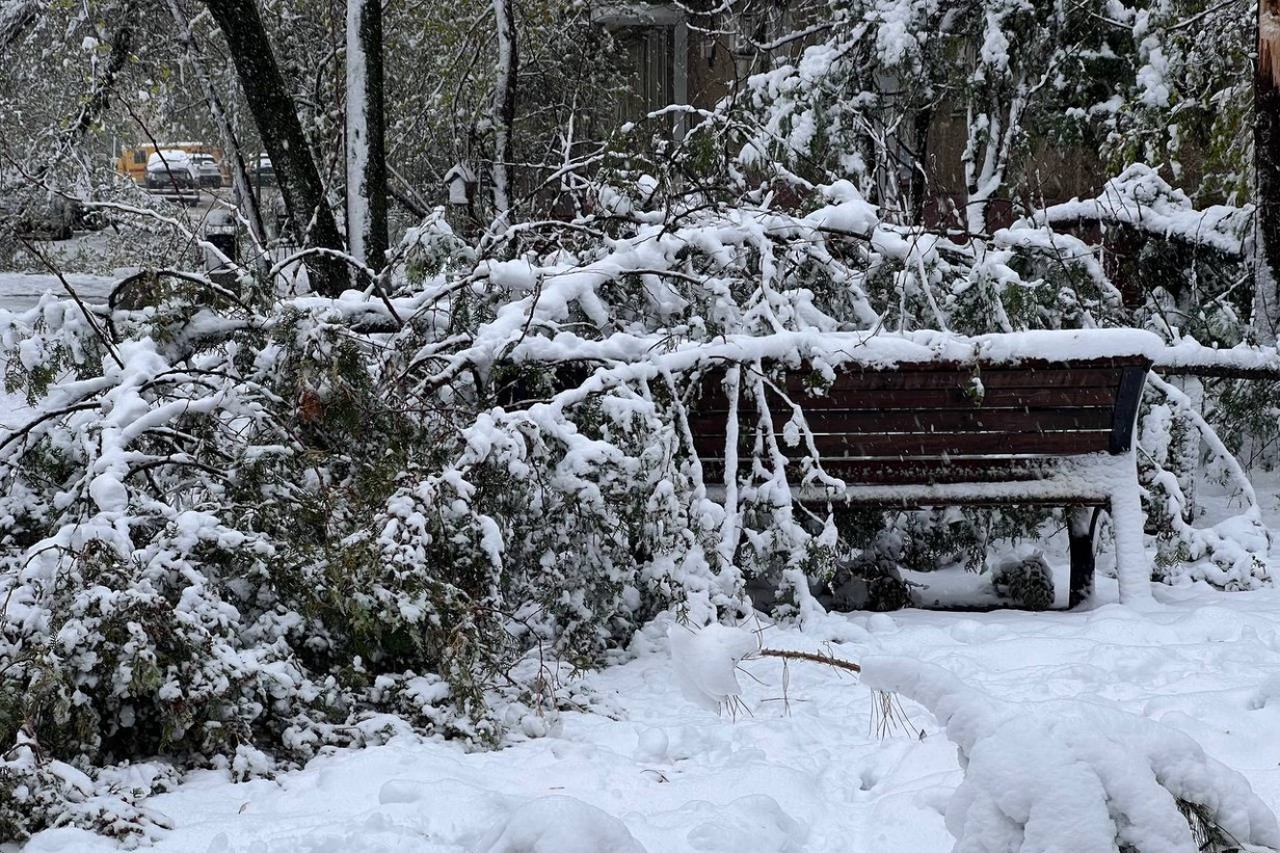Отмена рейсов, пробки и упавшие деревья: на Москву обрушился снежный апокалипсис