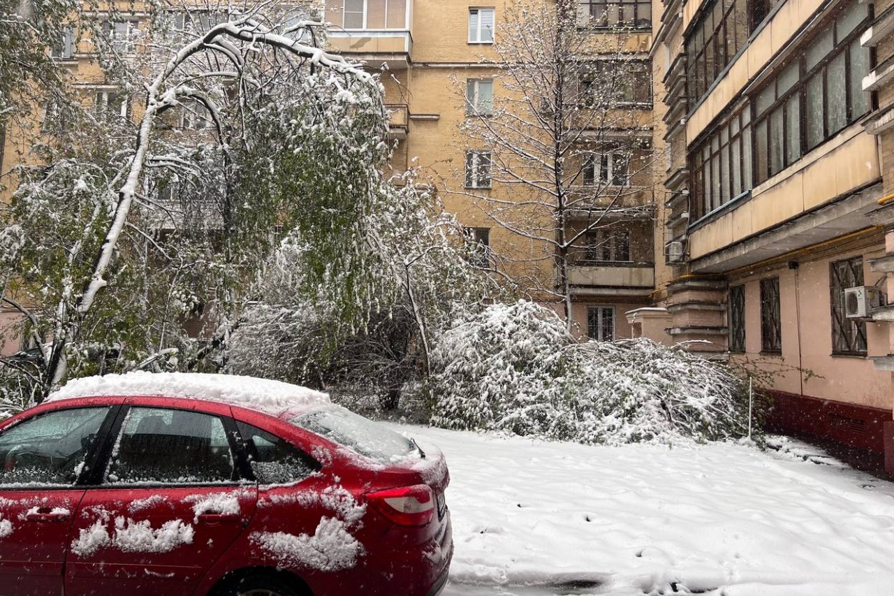 Отмена рейсов, пробки и упавшие деревья: на Москву обрушился снежный апокалипсис