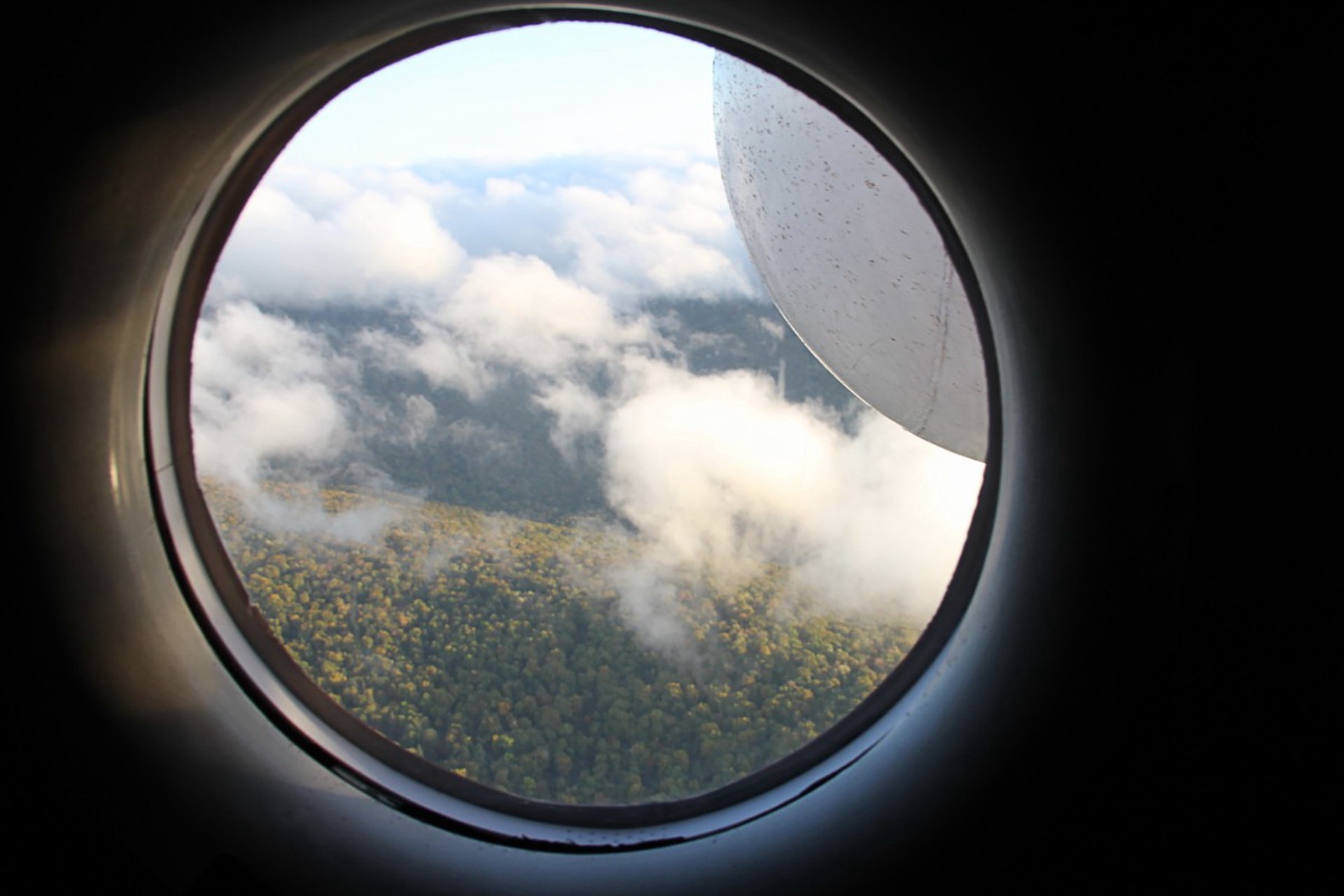 Крушение самолета Ан-26: неполадки с двигателем стали причиной смерти 30 человек