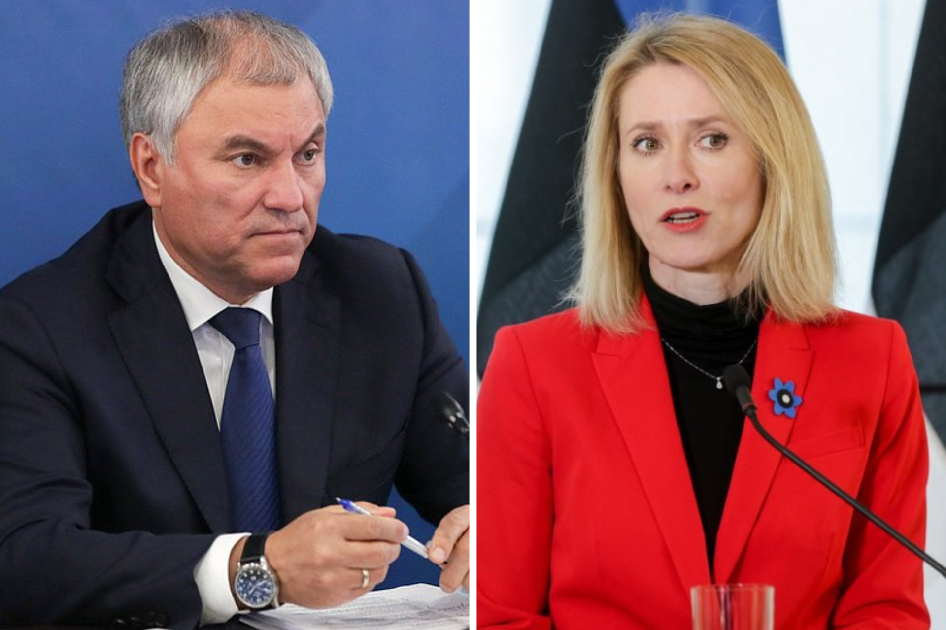 Володин обвинил Каллас в невежестве после слов о «нападениях» России