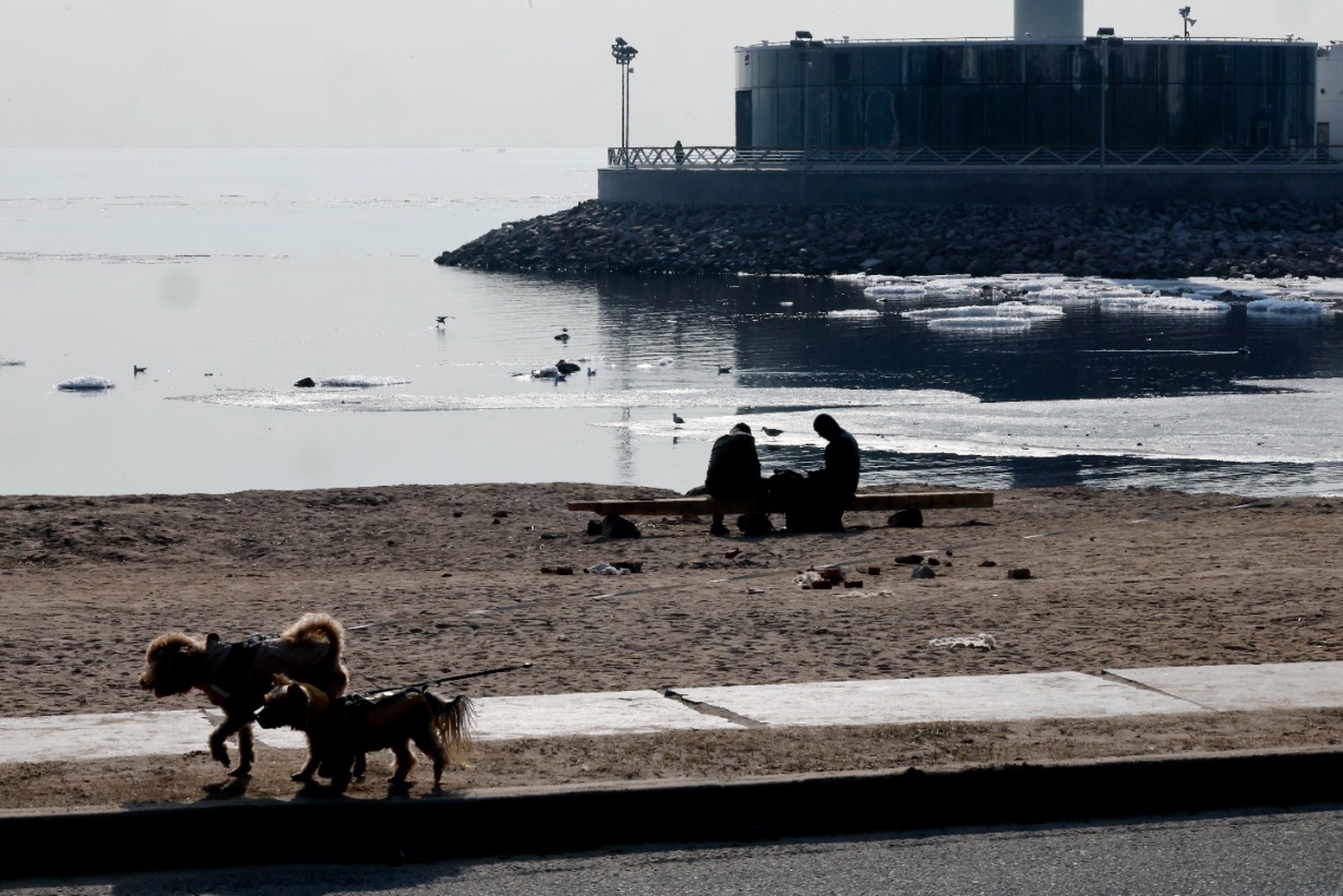 Комитет по экологии Ленобласти опроверг новости о разливе нефтепродуктов в Финском заливе