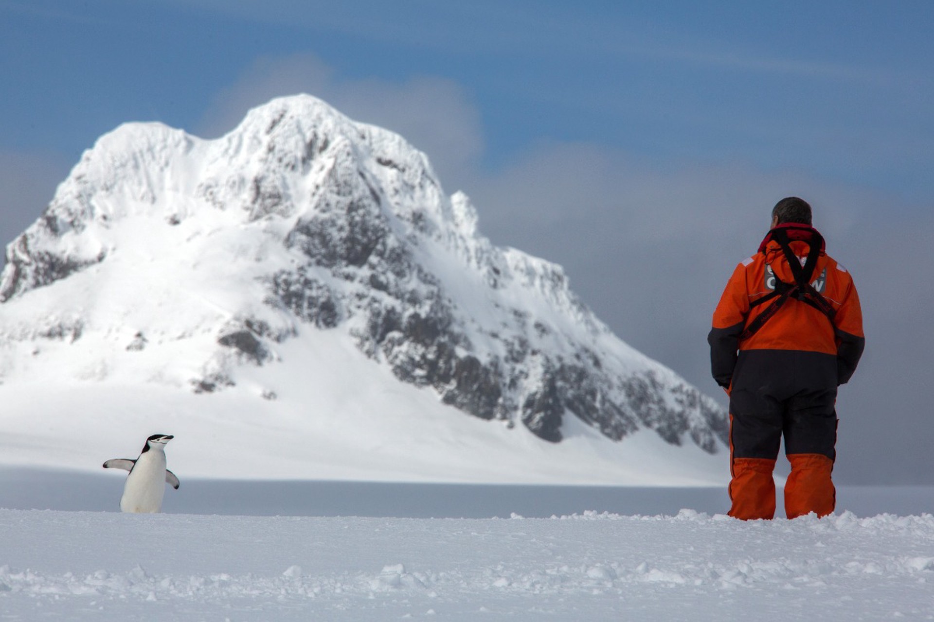 Российские ученые обнаружили новый оазис в Антарктиде
