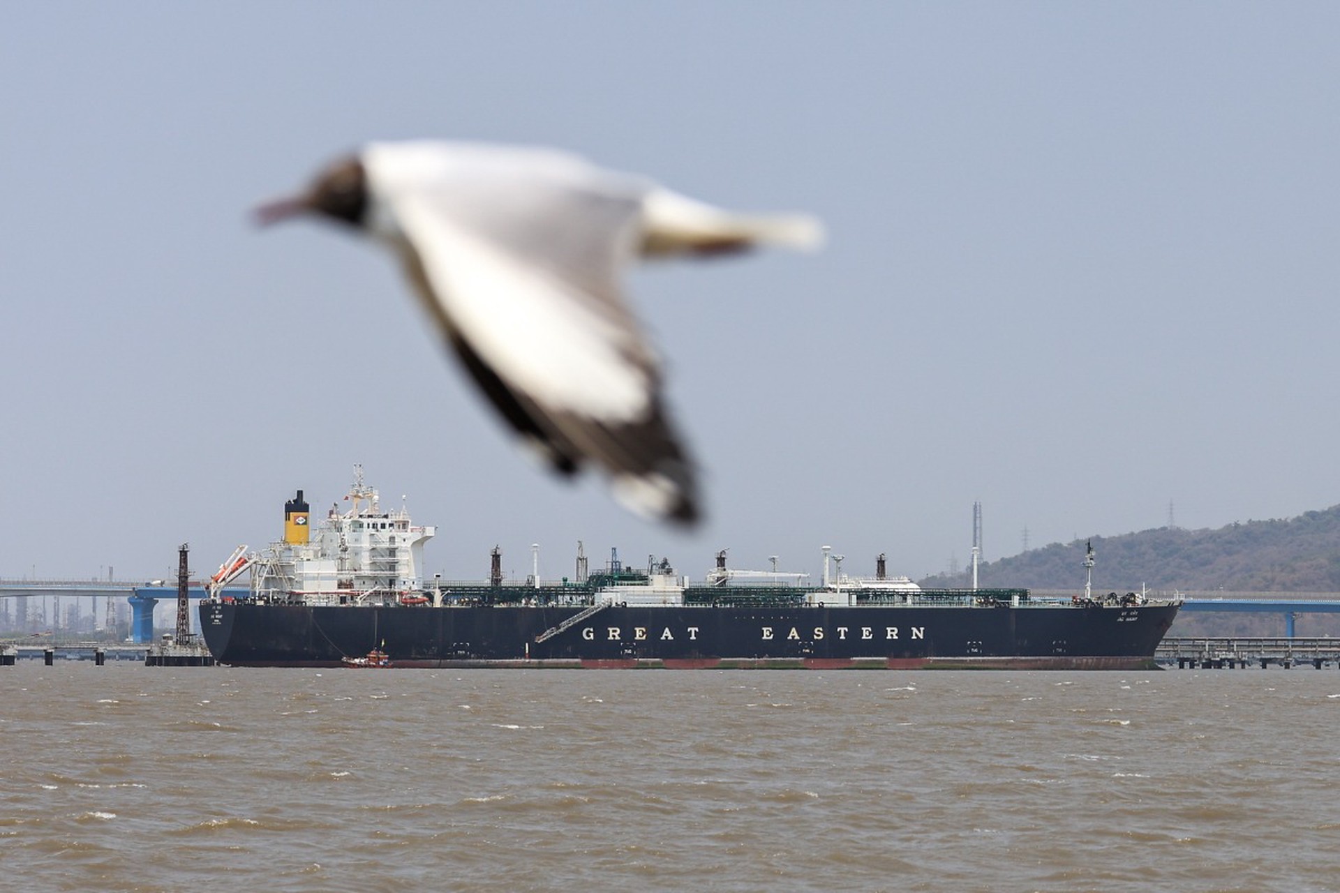 Иран разрешил проход через Ормузский пролив для гуманитарных судов