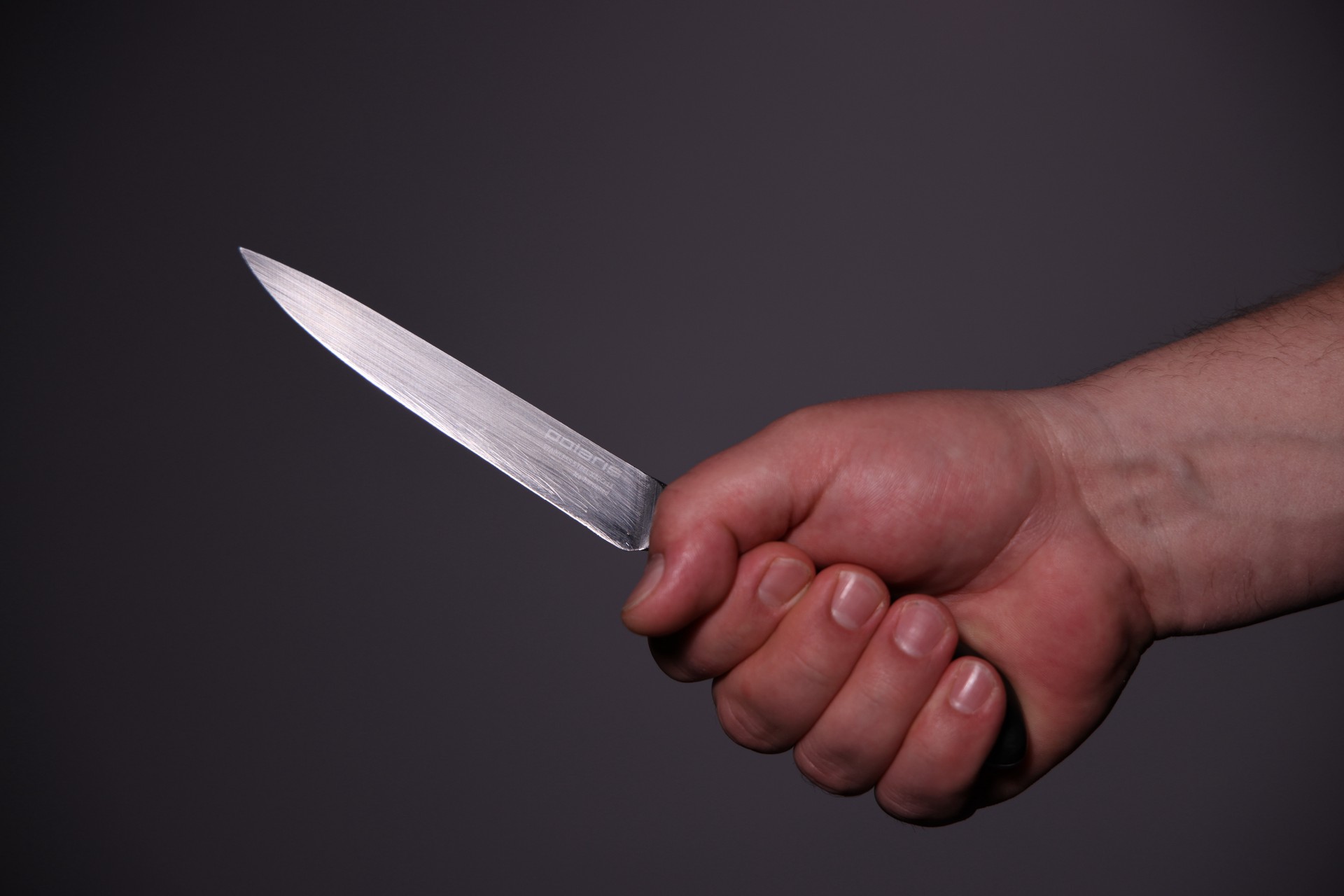 Трупы мужчин с изрезанными лицами нашли в Подмосковье