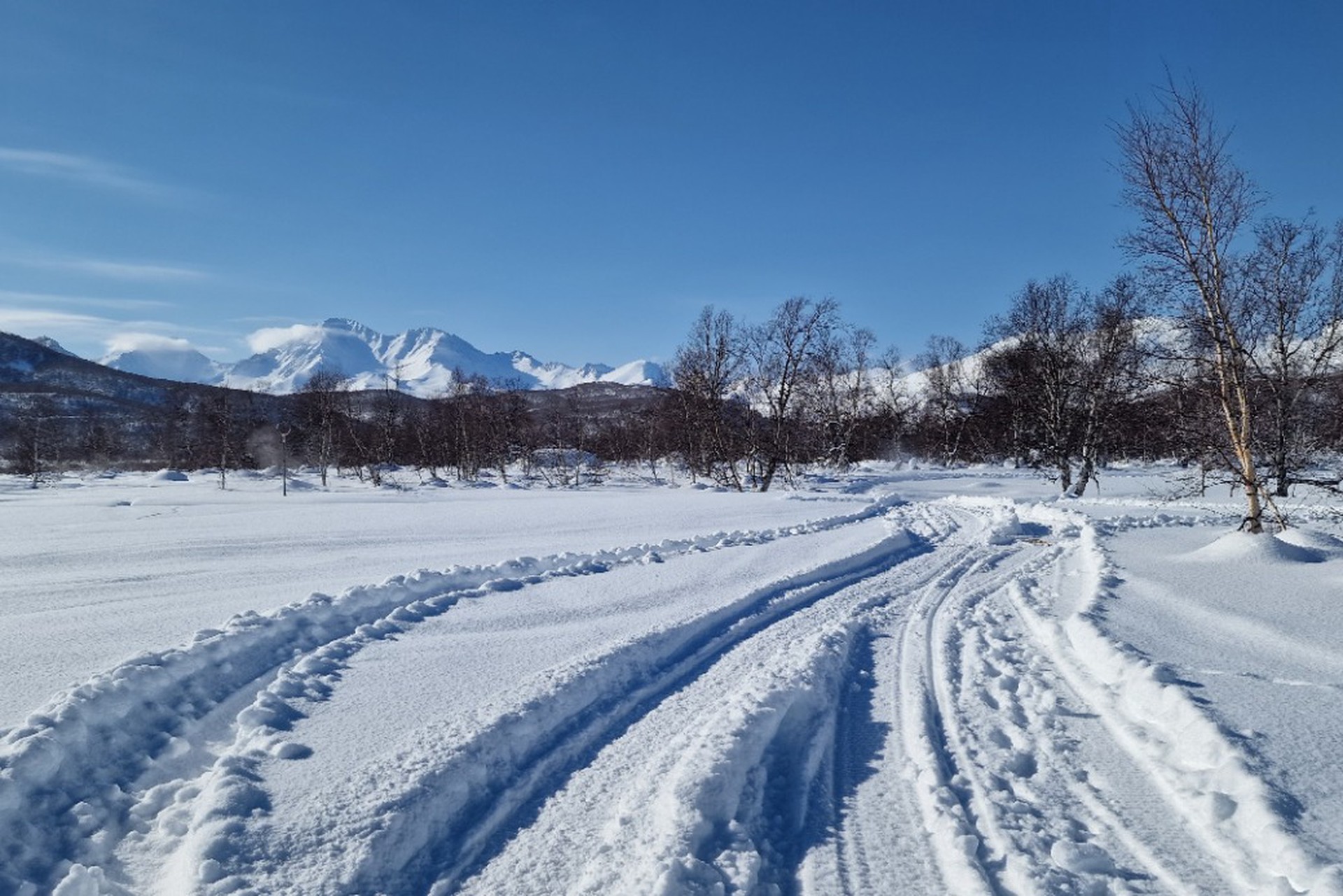 Толпа туристов могла замерзнуть на Камчатке из-за ссоры