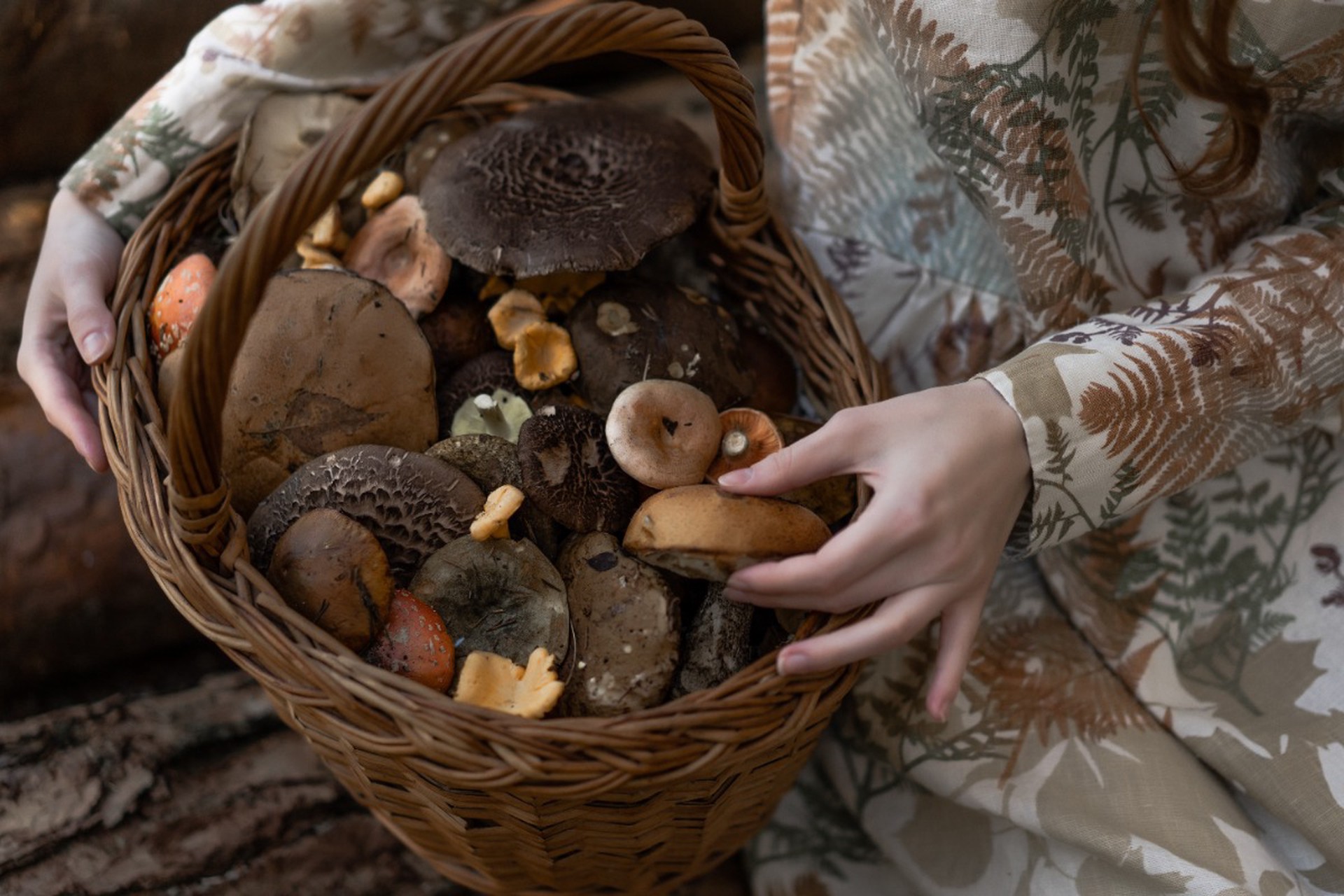 Миколог предупредил россиян о ядовитых весенних грибах