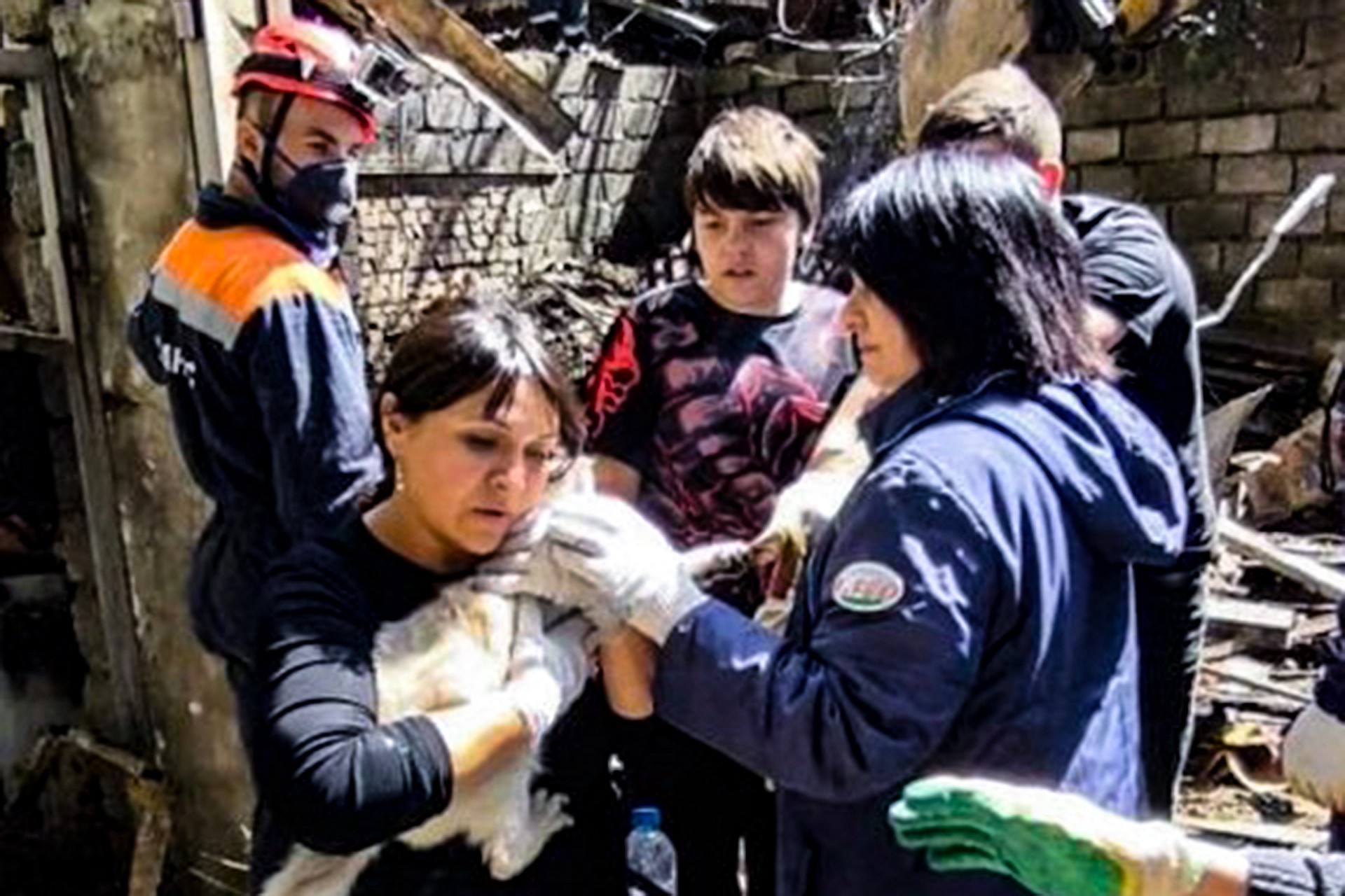 Под завалами разрушенного дома в Туапсе нашли живую кошку