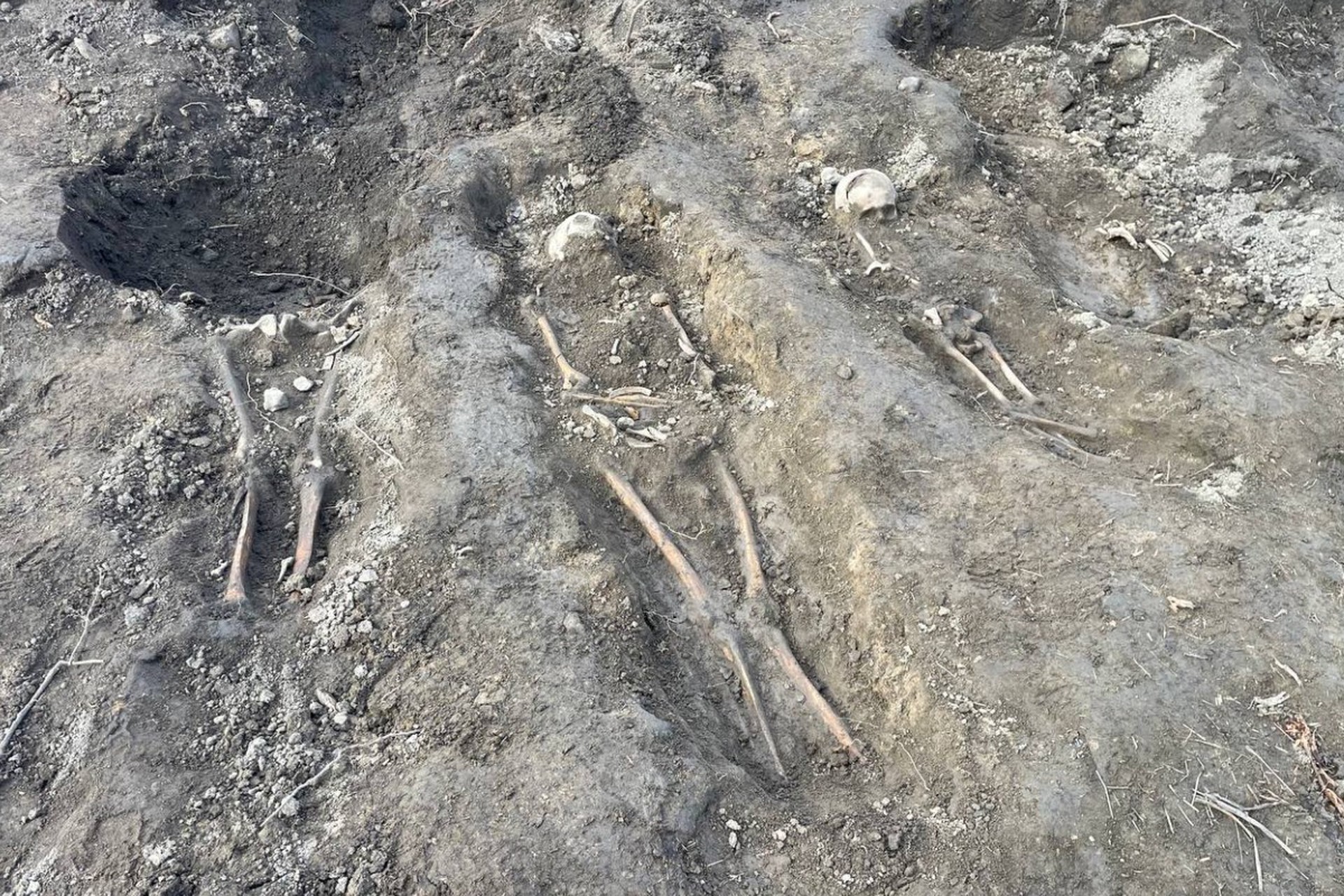 Сожженные заживо: в Ленобласти найдены останки детей и женщин, убитых фашистами