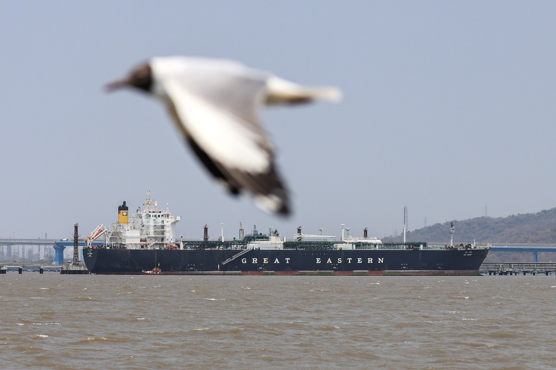 Иран установил новые правила прохода через Ормузский пролив