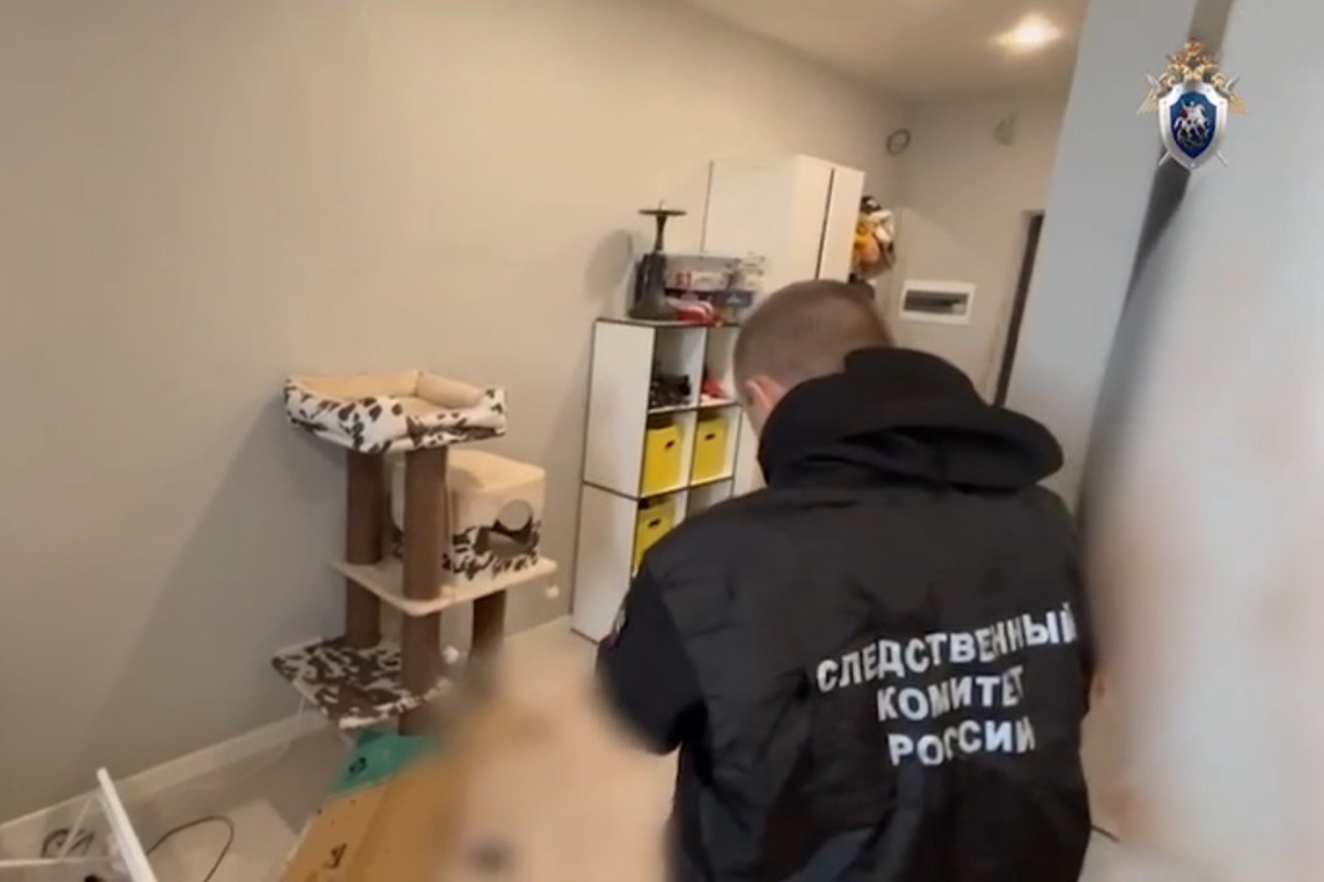 Российский актер устроил поножовщину с женой в Мытищах