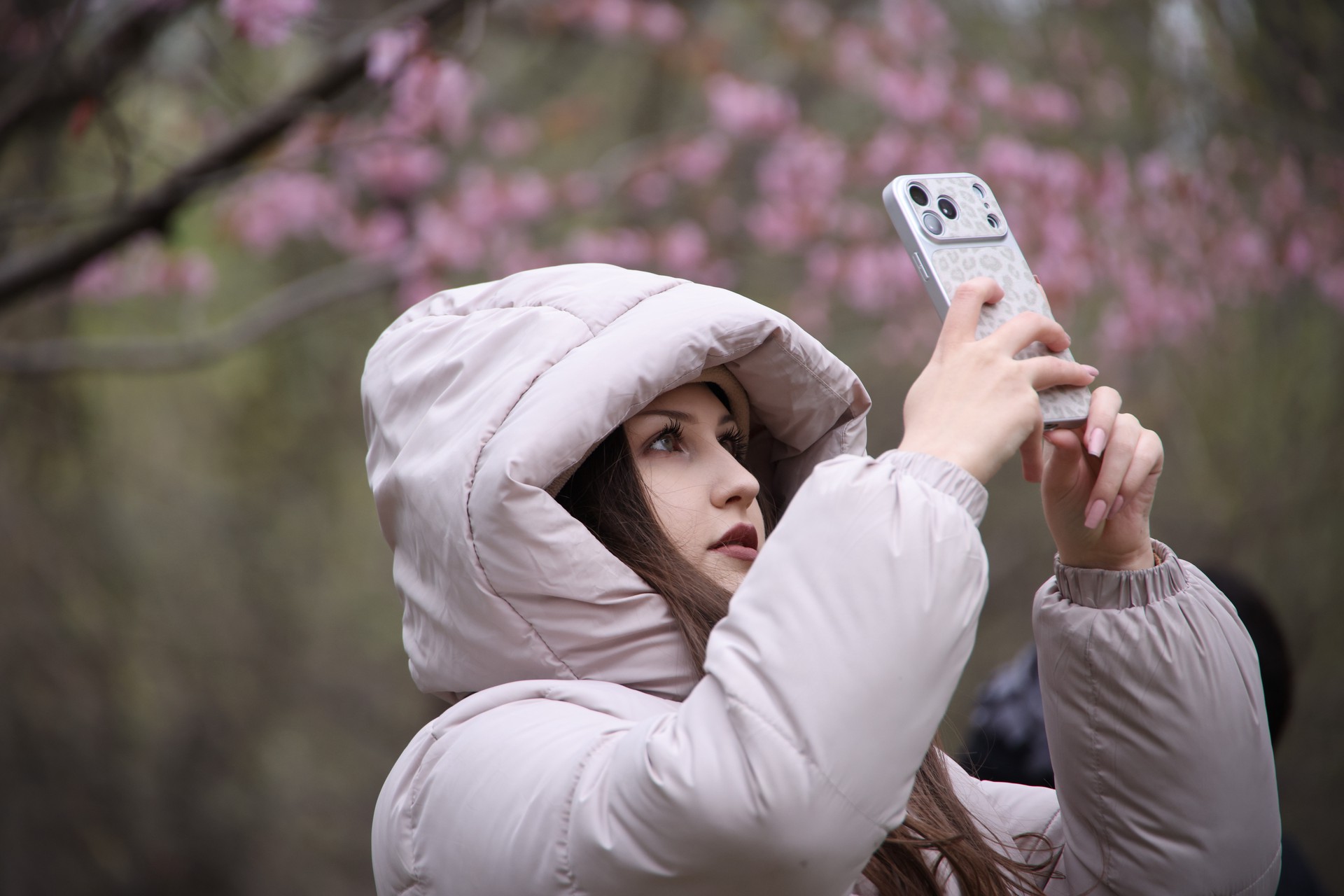 Увидеть и обомлеть: в Москве стартовал сезон цветения сакуры – фото