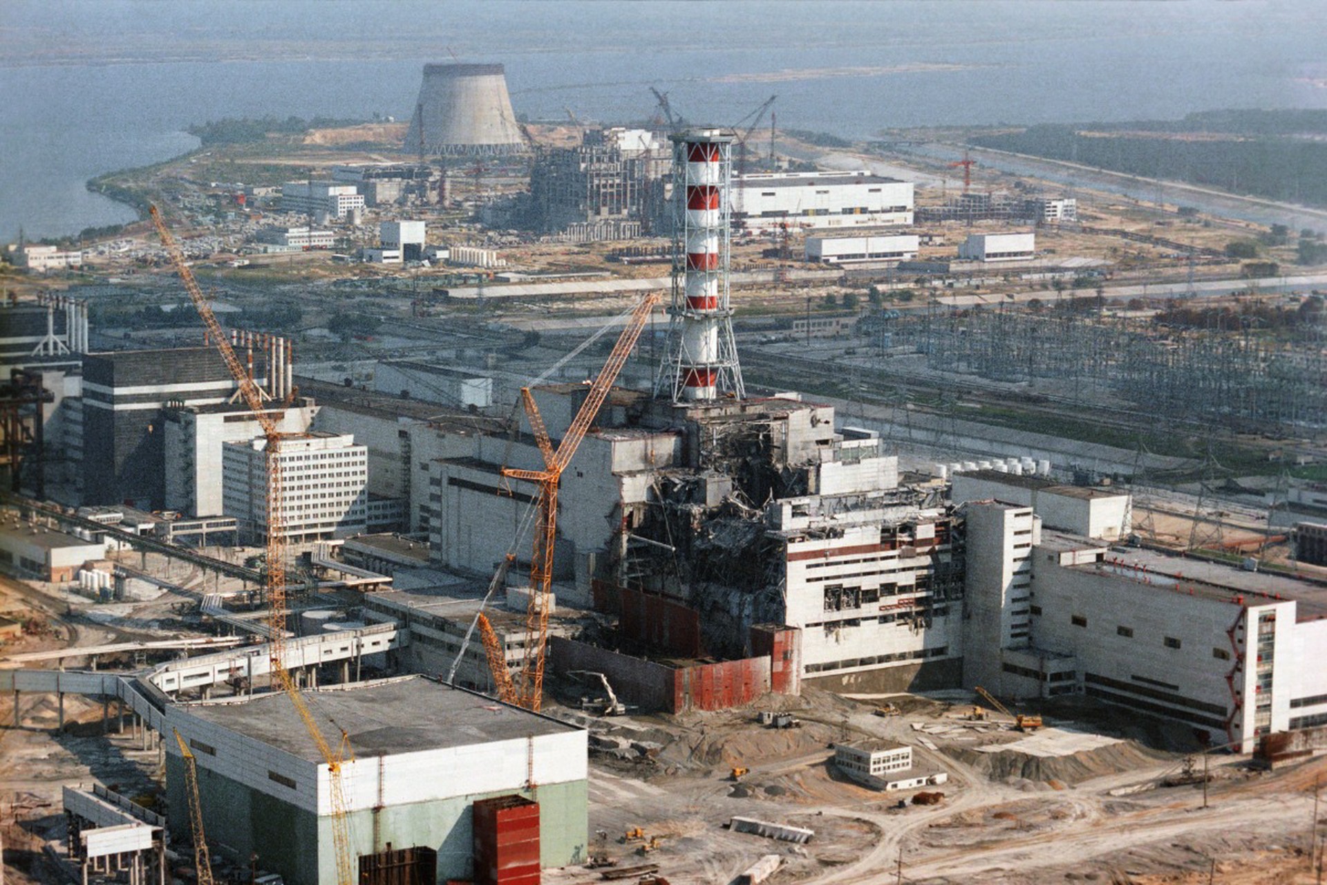 Жизнь без смеха, радиоактивные грибы и рыбы-мутанты: мифы об аварии на Чернобыльской АЭС