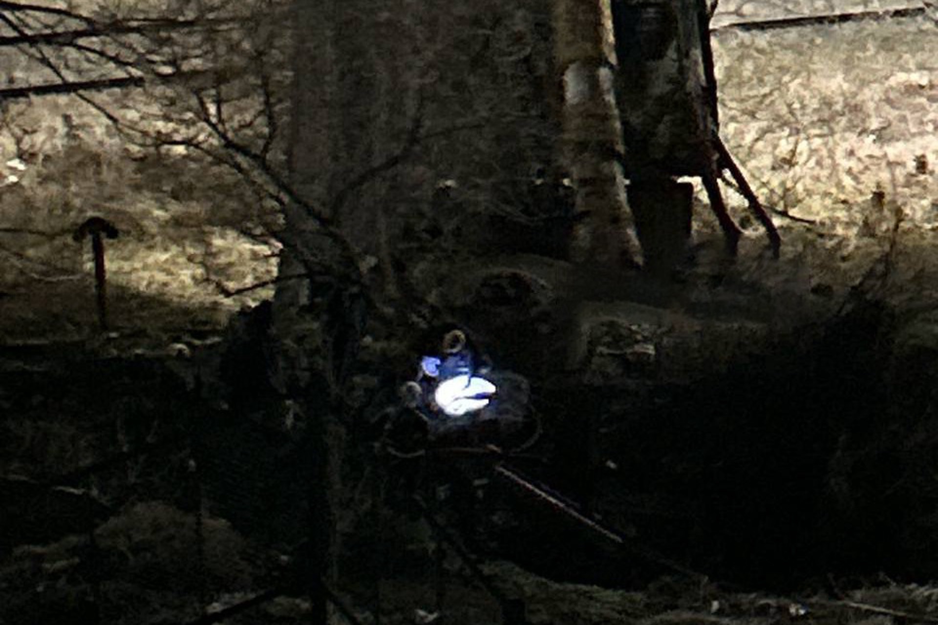 Отрубленную руку человека нашли на теплотрассе в российском регионе