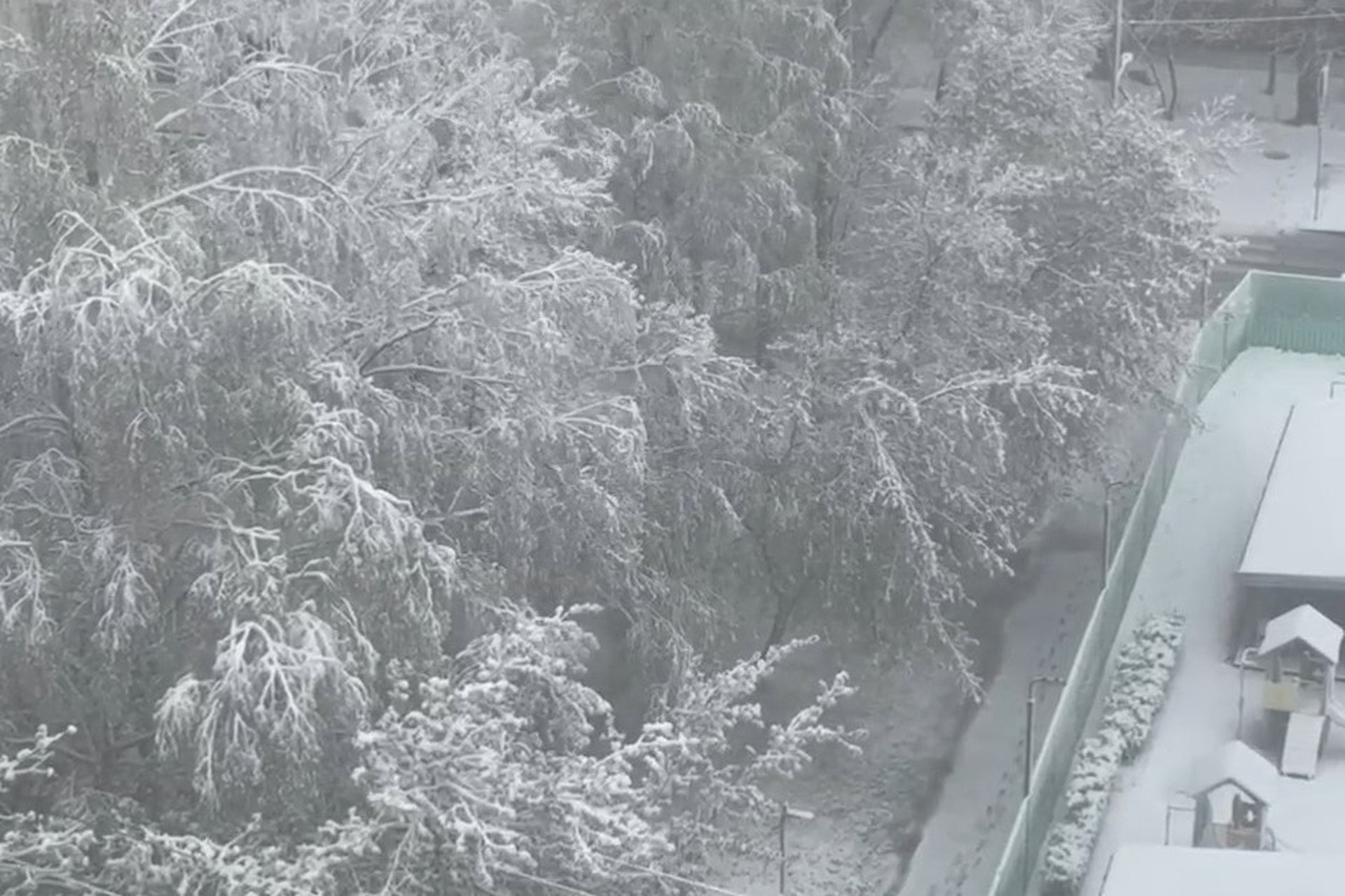 Мощный снегопад обрушился на Московский регион и Ленобласть