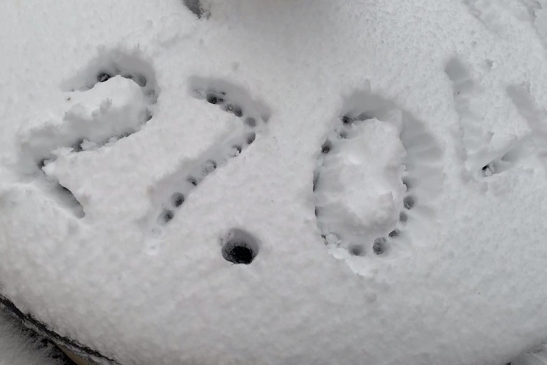 Главное к утру 27 апреля: Россию засыпает снегом, Аракчи прилетел в Петербург, Берлин отменяет День Победы