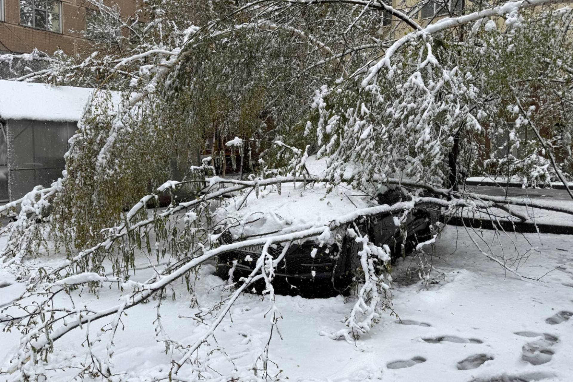 Синоптик спрогнозировал сроки завершения снежной аномалии в Центральной России