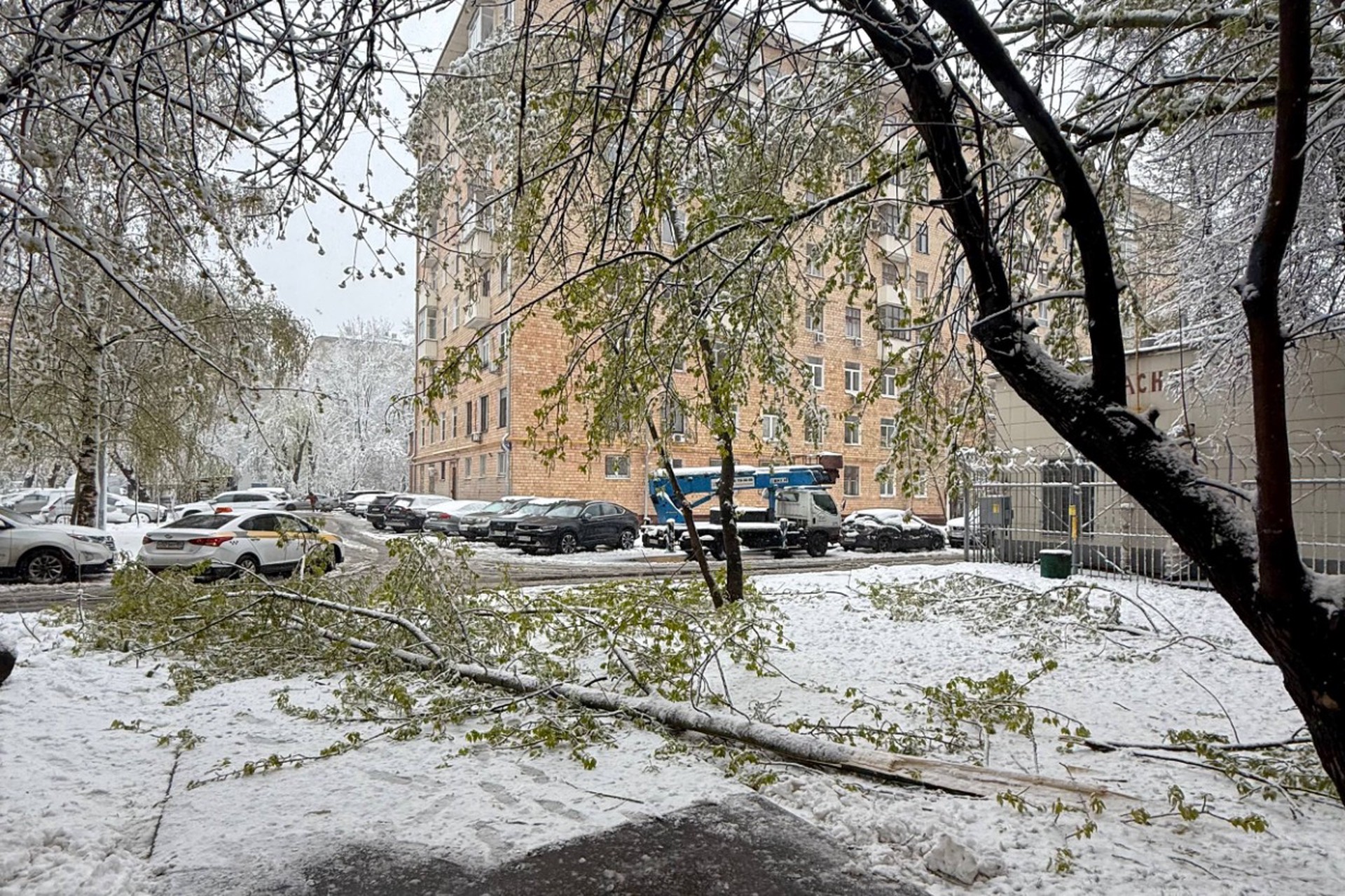 Москва обновила 55-летний рекорд по снегу