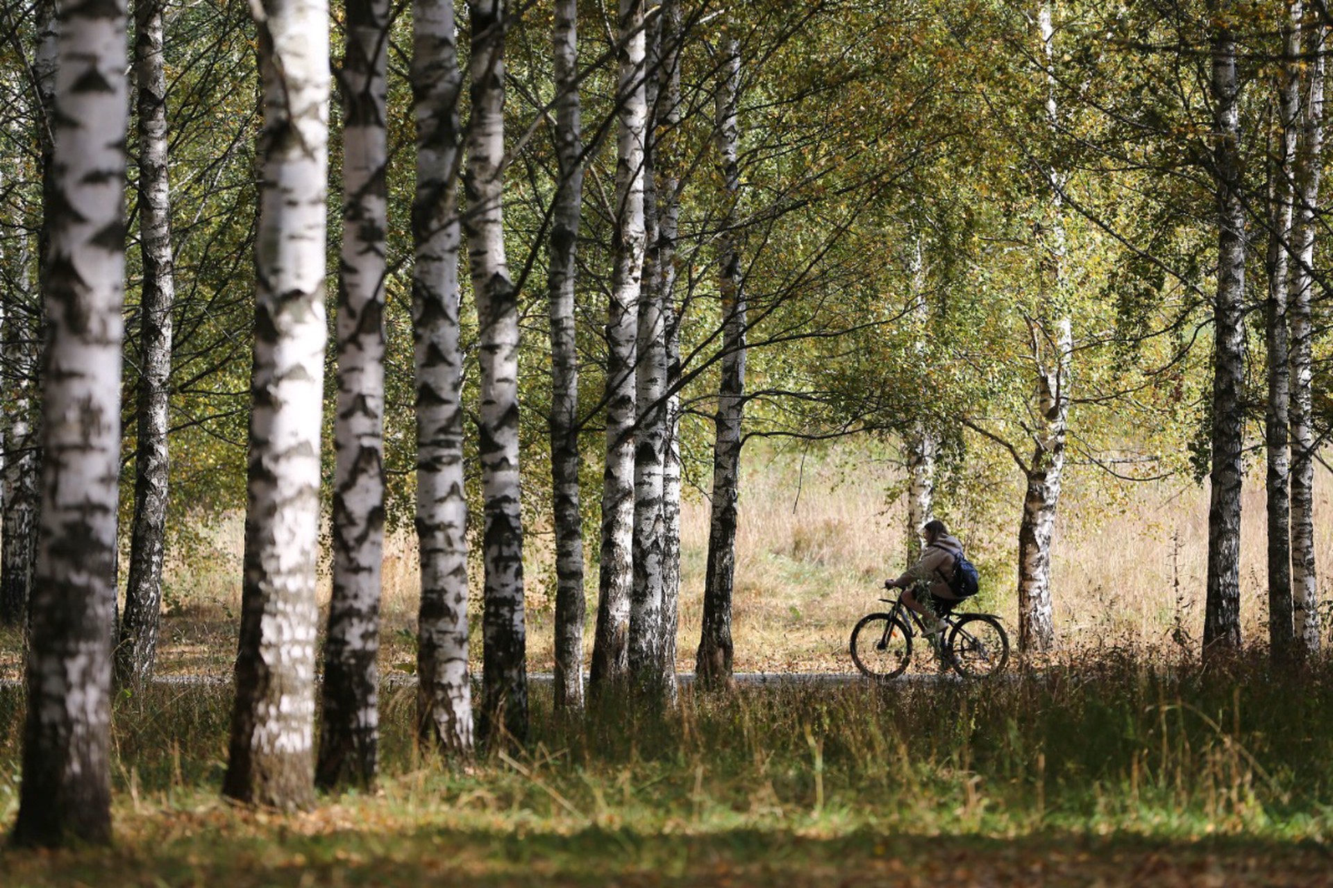 Врач перечислила самые опасные аллергены весной