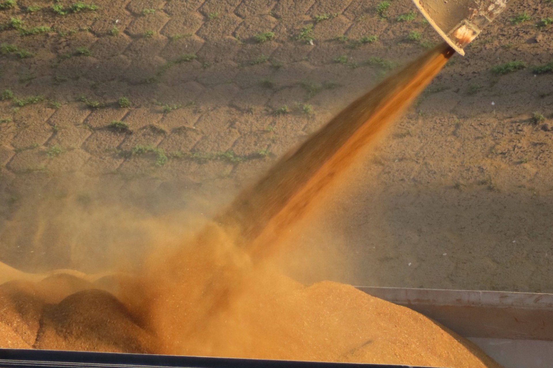 Украина устроила Израилю истерику из-за зерна