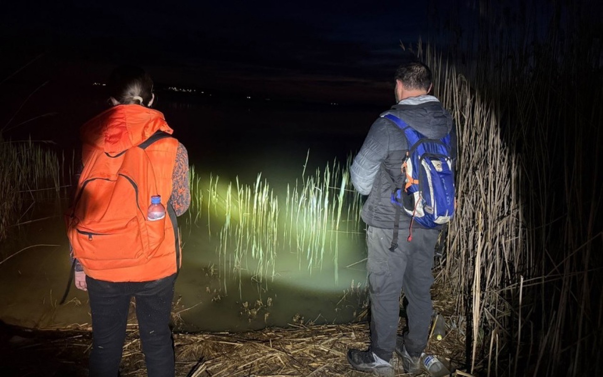 Поиски 11-летней девочки в Краснодарском крае завершились трагедией