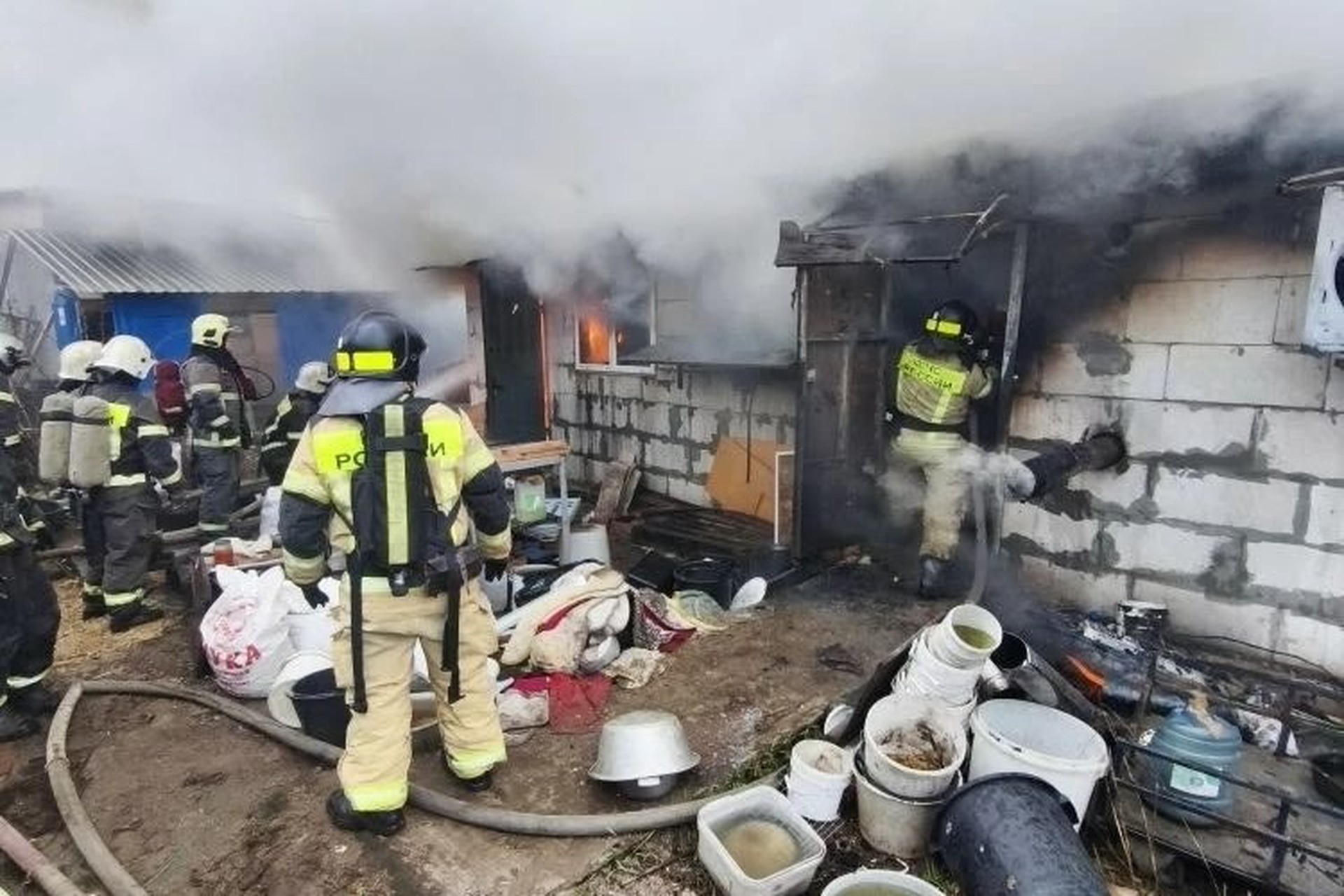 Почти 200 щенков сгорели заживо в российском регионе 