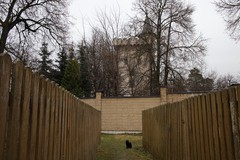 Фото © Анастасия Романова / Абзац