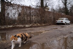 Фото © Анастасия Романова / Абзац