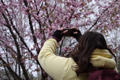 Фото © Анастасия Романова / Абзац