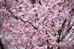 Фото © Анастасия Романова / Абзац