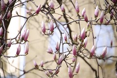 Фото © Анастасия Романова / Абзац