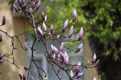 Фото © Анастасия Романова / Абзац