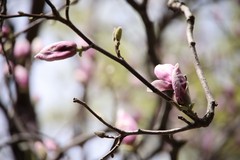 Фото © Анастасия Романова / Абзац