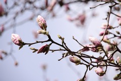 Фото © Анастасия Романова / Абзац