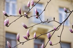 Фото © Анастасия Романова / Абзац