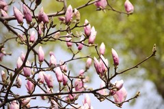 Фото © Анастасия Романова / Абзац