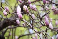 Фото © Анастасия Романова / Абзац