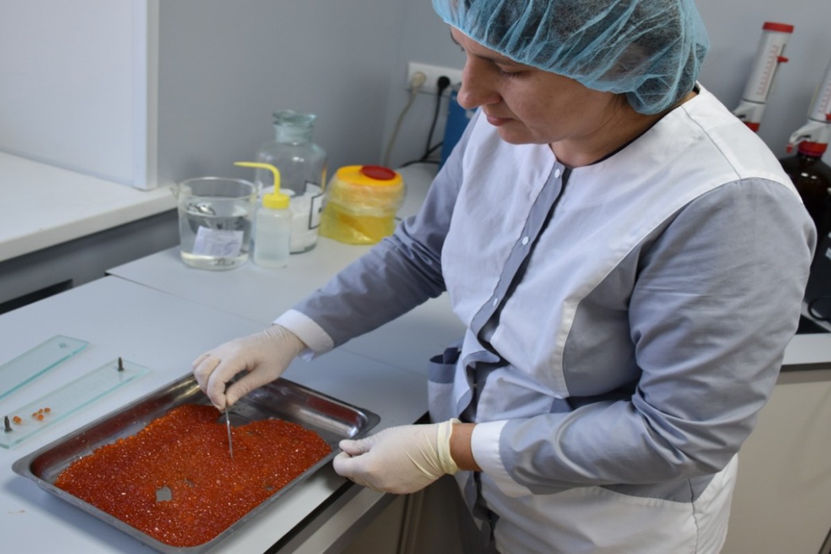 Лесной тайник с икрой на миллионы обнаружили под Хабаровском