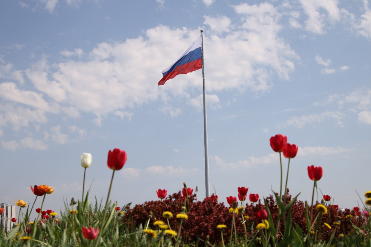 В России отменили Грушинский фестиваль: в чем причины, травля участников СВО, русофобские заявления