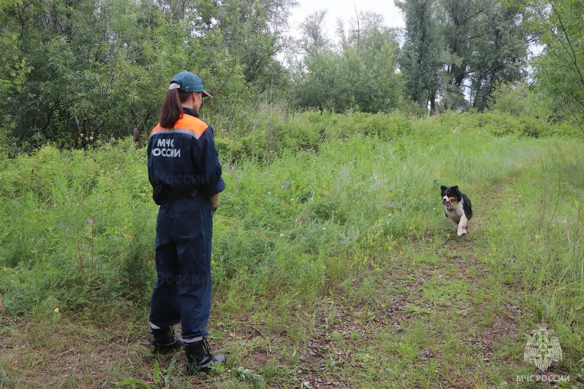 14-летний подросток ушел в лес в российском регионе и пропал