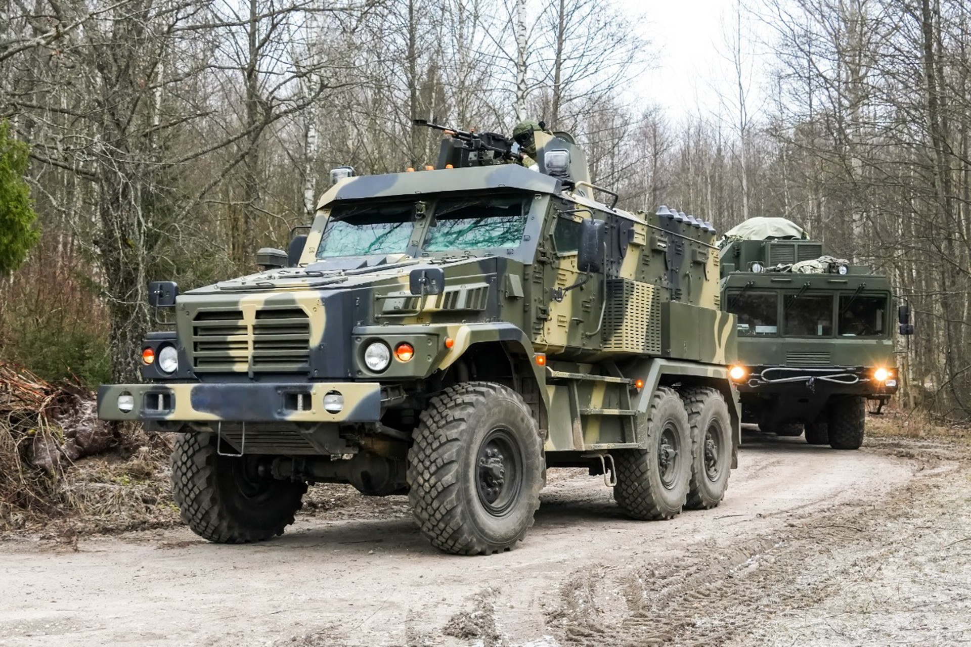 Германии пригрозили ударом «Орешника» при попытке терактов в России