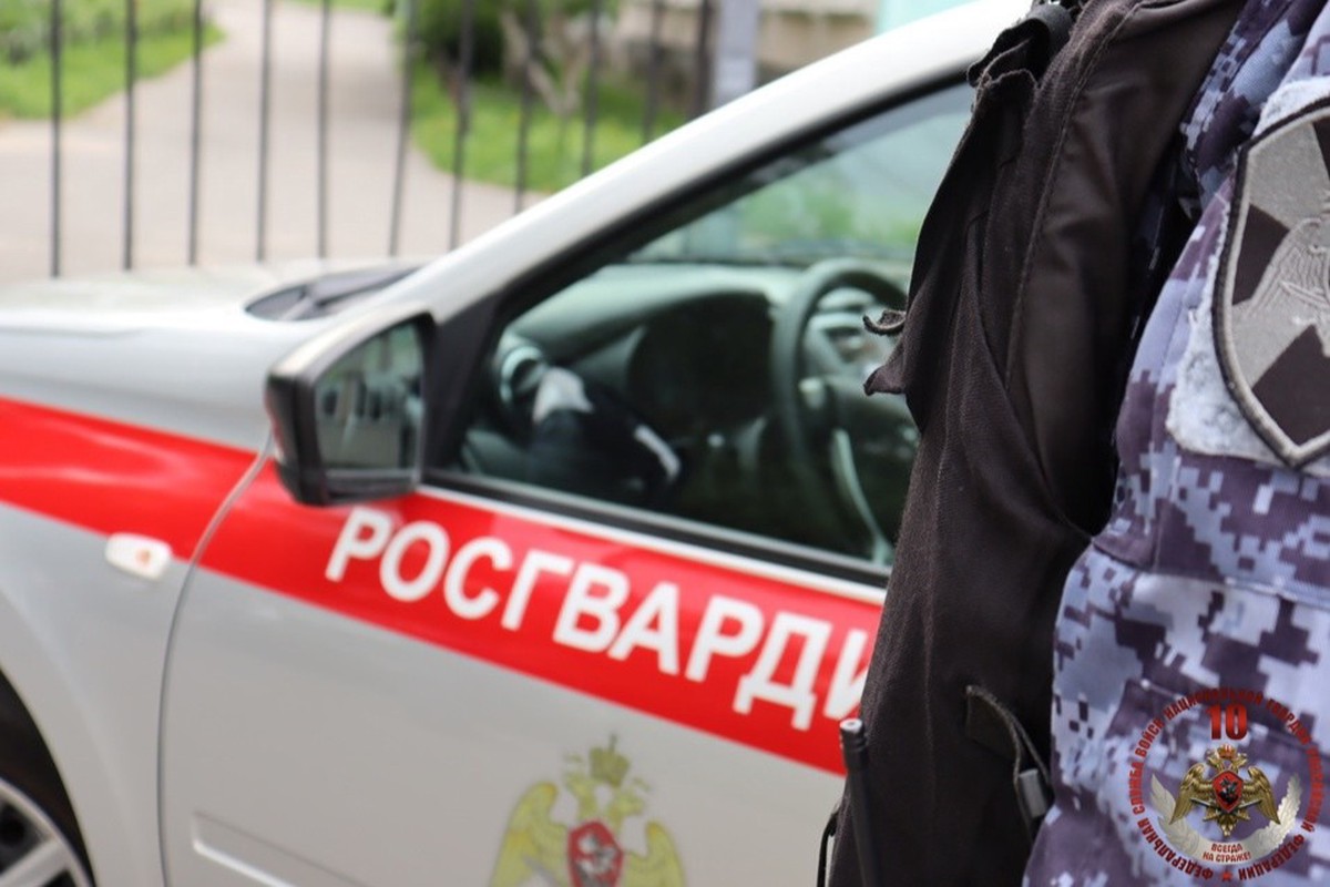 Росгвардия опровергла гибель бойцов «Витязя» под лавиной в КБР