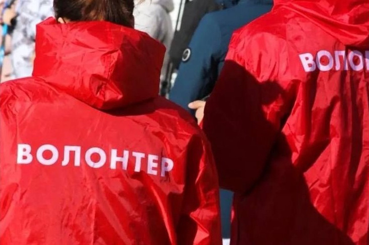 Загадочное исчезновение Леры из Туапсе: найденные кости, молчание СК и травля семьи