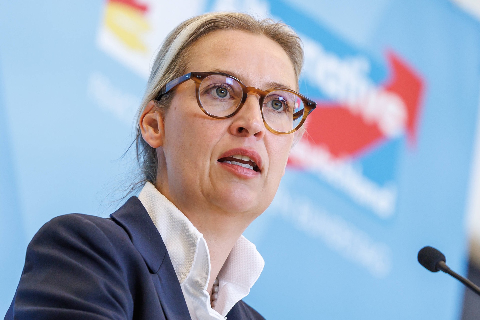 В Германии потребовали от Украины деньги за подрыв «Северных потоков»