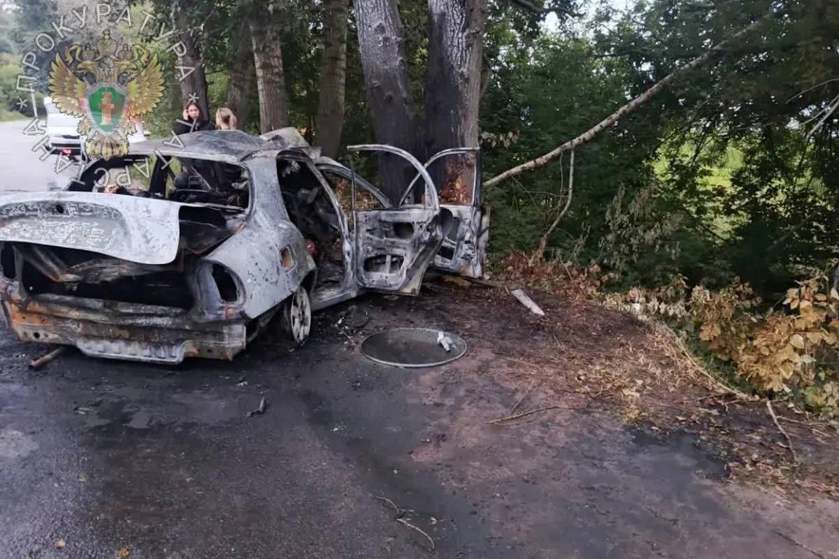 Место ДТП с шестью погибшими подростками в Татарстане попало на фото